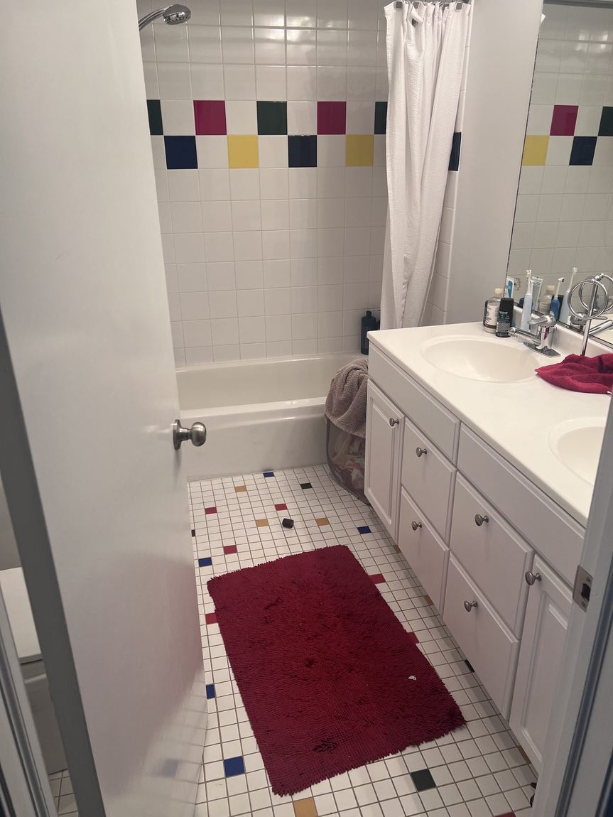 Bathroom before